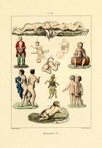 フリーク、1833-39 作： French School